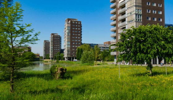 laanberendrecht vanaf winkelhofkant laanberendrecht vanaf winkelhofkant
